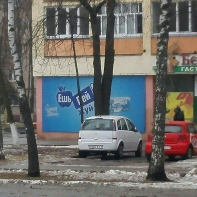 картинка e5aac098af 20869468