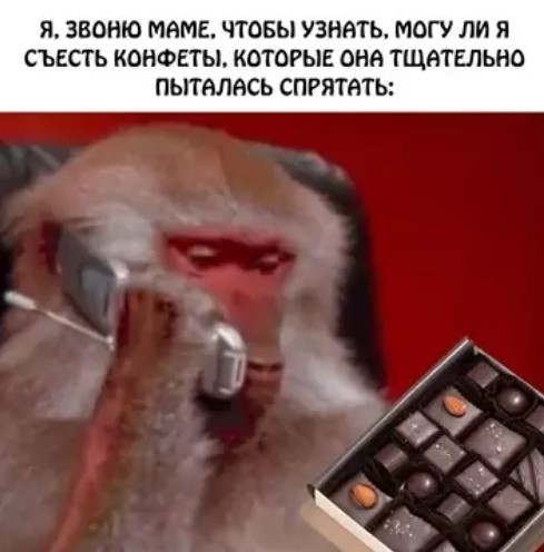 Улыбнитесь шире! Новый сборник шуток и приколов уже здесь, чтобы поднять вам настроение! каждая, Тогда, настроения, Устали, поездку, Готовы, веселья, искреннего, минут, несколько, подарят, просто, скрасят, скучную, смеха, тяжелого, после, расслабиться, помогут, ситуации