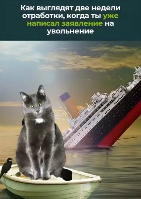 Понедельник не так уж и страшен! 😉 неделю, понедельник, Привет, получайте, 😊Готовы, зарядиться, позитивом, Тогда, теряйте, времени, листайте, дальше, смеха, утреннего, хорошим, 😄🤣Пусть, станет, «тяжёлым, стартом», ярким