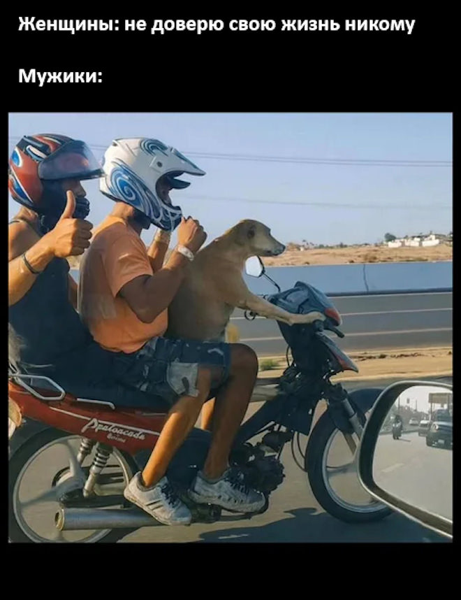 картинка ea2e2a11db memy kommentarii smeh 10