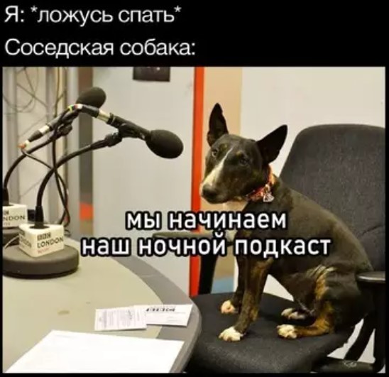 Понедельник не так уж и страшен! 😉 неделю, понедельник, Привет, получайте, 😊Готовы, зарядиться, позитивом, Тогда, теряйте, времени, листайте, дальше, смеха, утреннего, хорошим, 😄🤣Пусть, станет, «тяжёлым, стартом», ярким