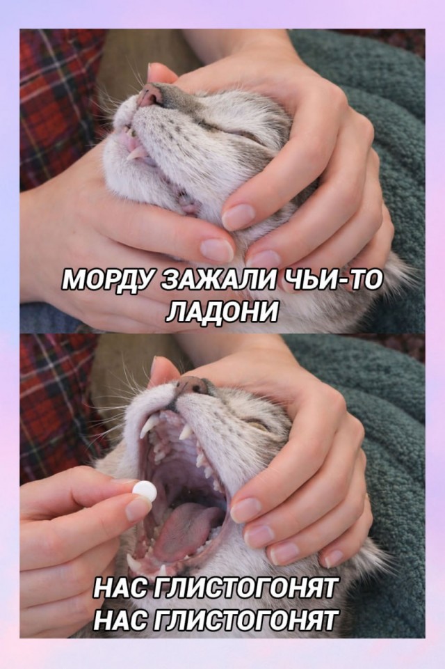 картинка efdfff6ced 20851104