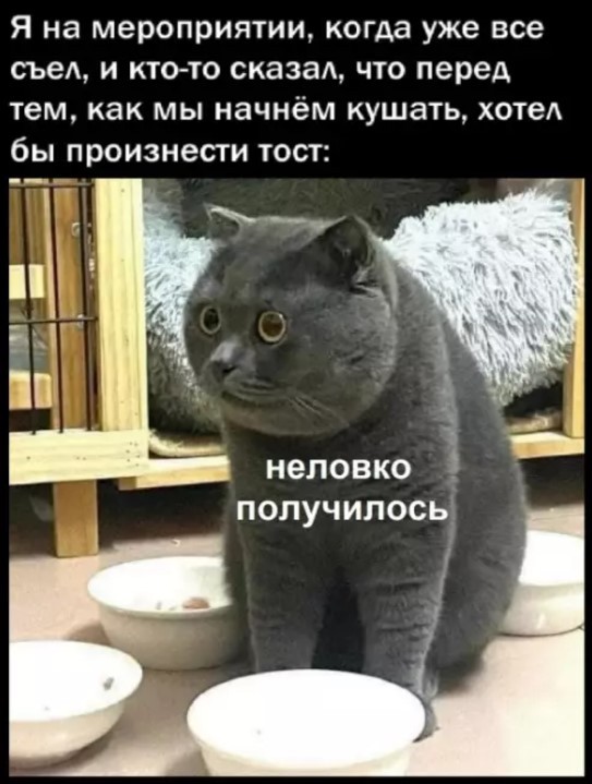 Улыбнитесь шире! Новый сборник шуток и приколов уже здесь, чтобы поднять вам настроение! каждая, Тогда, настроения, Устали, поездку, Готовы, веселья, искреннего, минут, несколько, подарят, просто, скрасят, скучную, смеха, тяжелого, после, расслабиться, помогут, ситуации