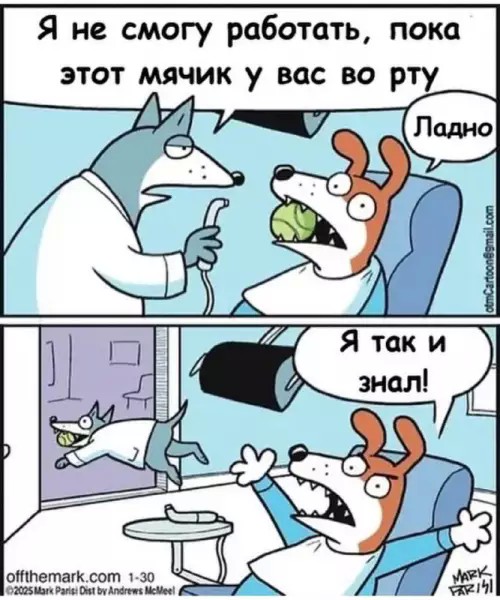 картинка f4d3244aa5 20920811