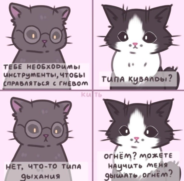 картинка f4e3712241 20922594