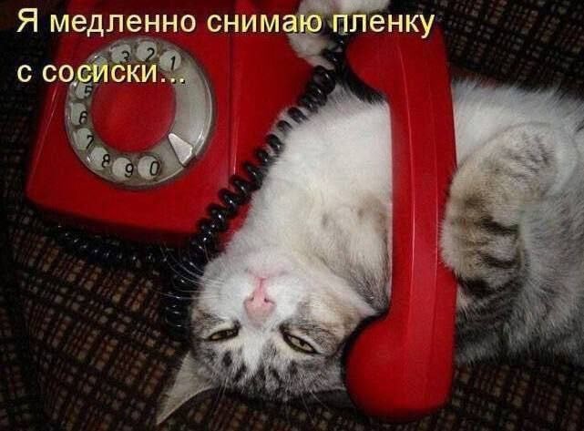 картинка f7dfa5ba2a novyj sbornik umoritelnyh memov ulybka garantirovana 6