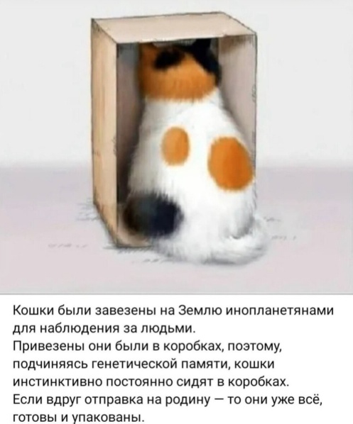 картинка fa5103719f 20870261