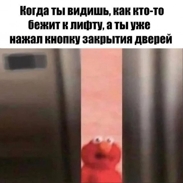 картинка fc7b530d21 20903712