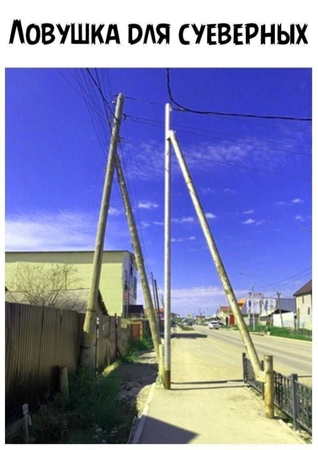 картинка fce17477f2 20901270