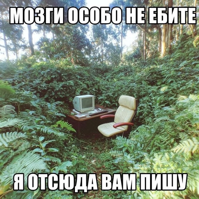 картинка fdf8d8f201 vnimanie jumor ne dlja vseh 11