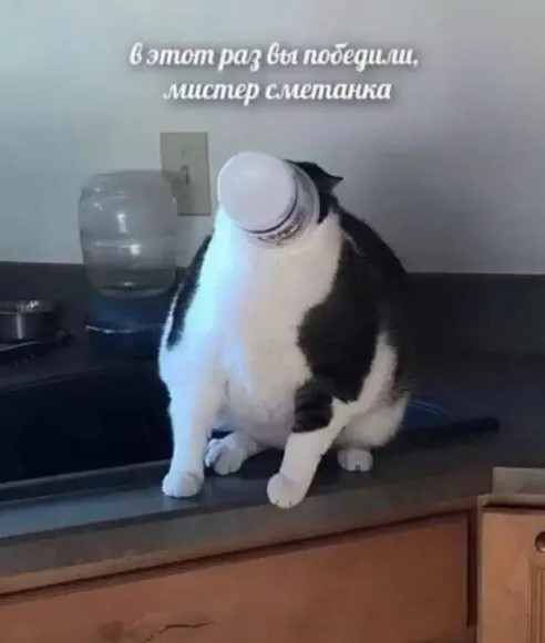 Понедельник не так уж и страшен! 😉 неделю, понедельник, Привет, получайте, 😊Готовы, зарядиться, позитивом, Тогда, теряйте, времени, листайте, дальше, смеха, утреннего, хорошим, 😄🤣Пусть, станет, «тяжёлым, стартом», ярким