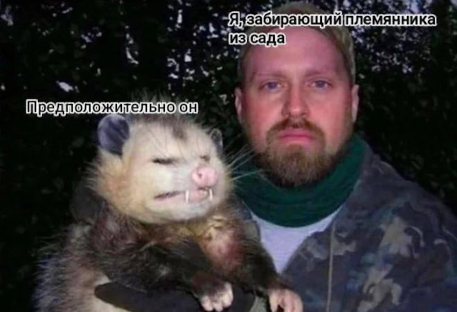 картинка ffef9db449 samye smeshnye memy i kommentarii zarjad pozitiva na ves den 8