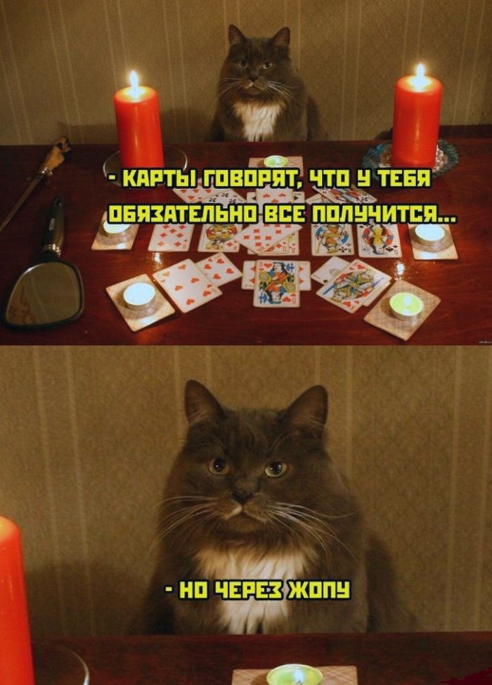 картинка 027efa40d8 vnimanie jumor ne dlja vseh 12