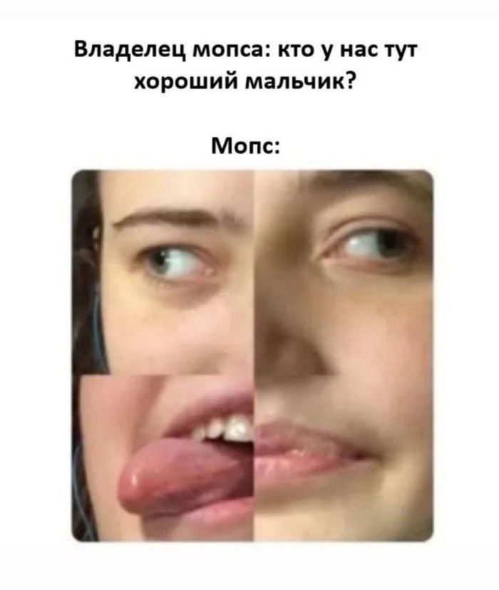 картинка 050274417e 000