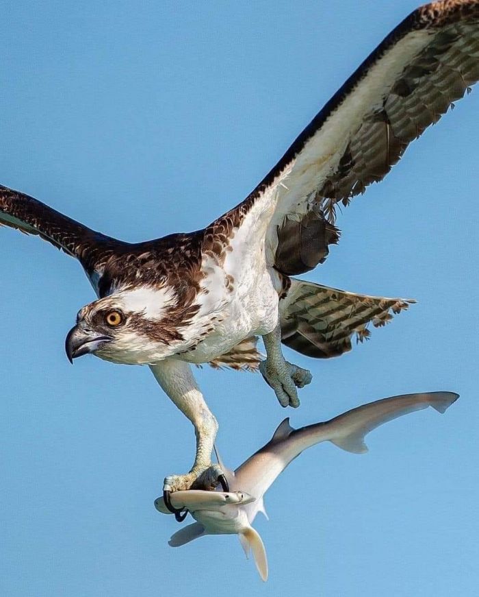 картинка 051acd4305 seredina nedeli malenkaja pjatnica podborka pozitiva dlja zarjada jenergii 14