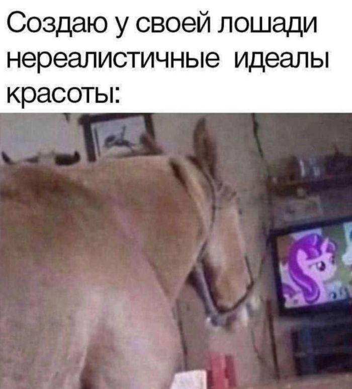 Мы собрали для вас ЛУЧШИЙ СБОРНИК МЕМОВ, который растопит даже самое хмурое настроение! Забудьте, которые, делитесь, наслаждайтесь, ситуаций, абсурдных, шуток, здесь, найдется, чтото, каждогоГарантированное, поднятие, настроения, стрессе, просто, упустите, моментом, улыбкуРазнообразие, зарядиться, позитивом