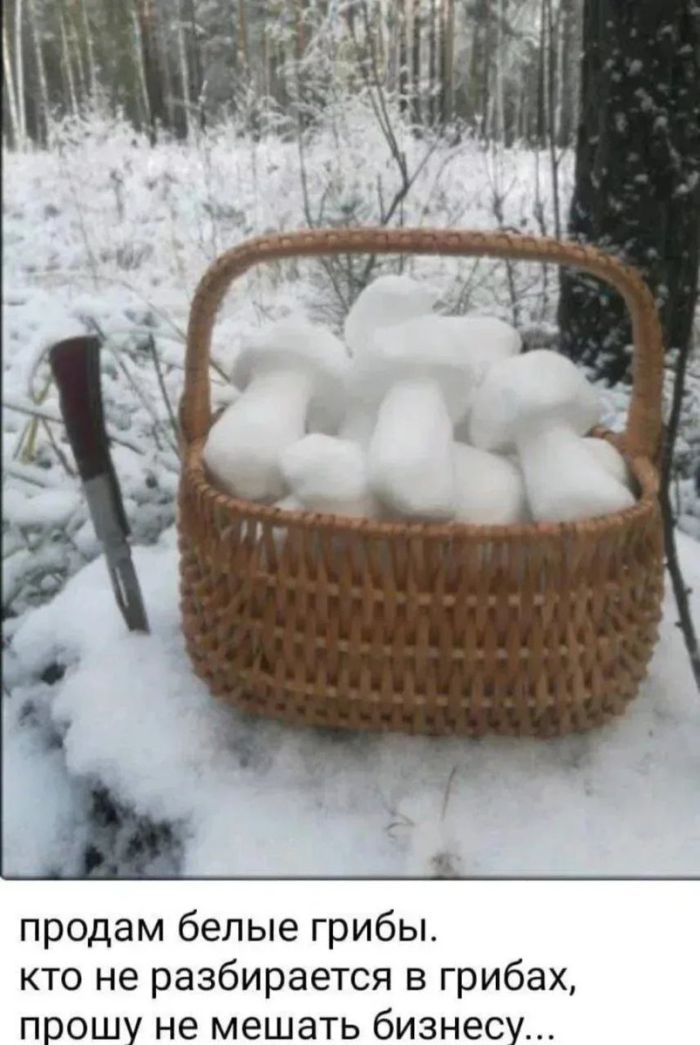 Островки юмора в бурю проблем: подборка мемов и остроумных комментариев для поднятия настроения самые, расслабиться, позитива, моменты, улыбку, юмора, улыбнуться, подарят, комментарий, шутка, каждый, пусть, дальше, листайте, Тогда, Бывают, Готовы, смеха, доктором, персональным