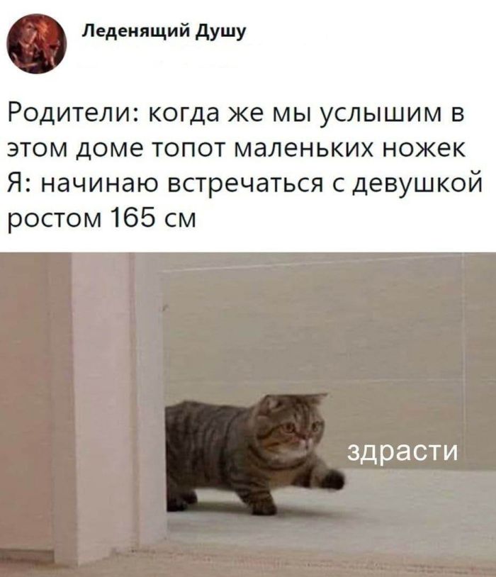 Хотите порцию отличного настроения? Вам сюда! прочесали, который, благодарноПредыдущая, очень, будет, настроение, пропустите, духНе, поднимет, точно, проверенный, просторы, Только, сетей, социальных, комментарии, смешные, самые, найти, чтобы