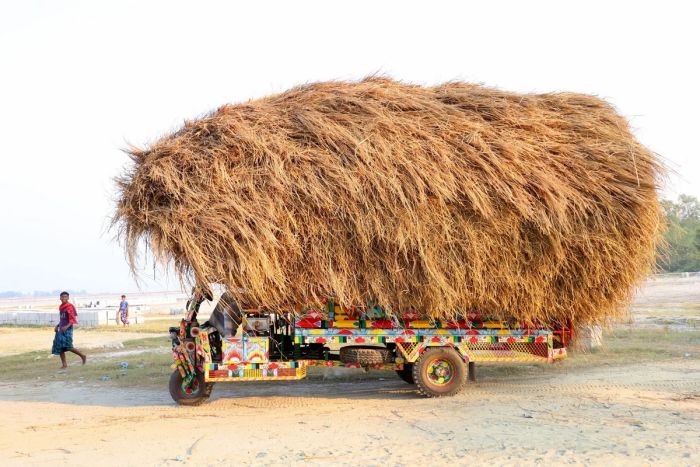 картинка 0b613d60b6 seredina nedeli idealnoe vremja dlja dozy pozitiva 81