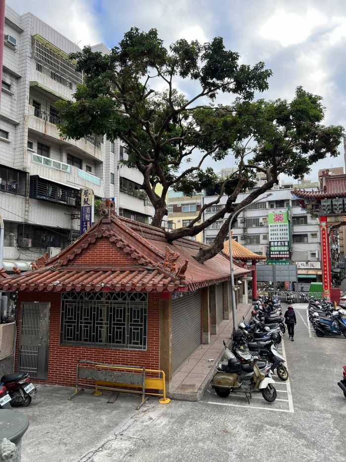 Пятница, ты ли это? 🎉 Самый ожидаемый день недели встречает нас свежей порцией позитива! только, сделать, который, сборник, чтобы, пятницу, смеяться, выходные, идеально, нужно, жизни, моменты, красивые, просто, пейзажи, вдохновляющие, животные, милые, Улыбки, уверены