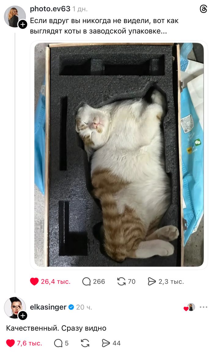 картинка 0fb59c82d7 svezhaja porcija smeha iz glubin interneta 10