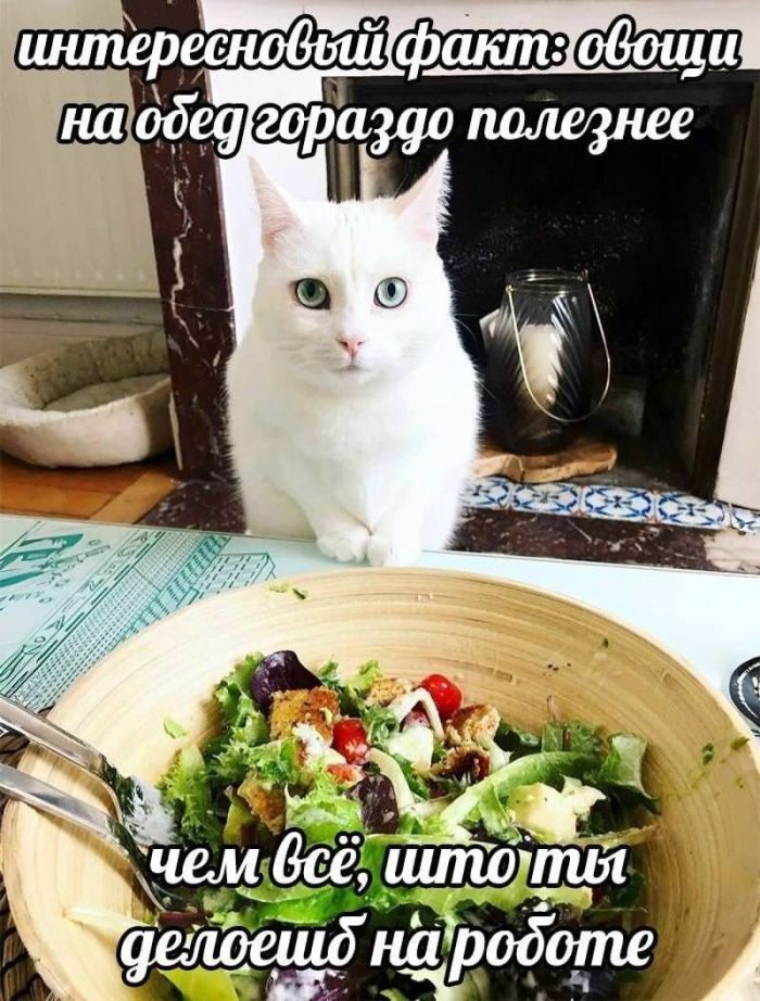 картинка 1152629e96 ulybnites shire podborka pozitiva kotoraja tochno podnimet nastroenie 12