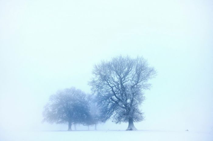 картинка 176c2ff6c1 bolshoj sbornik otbornogo jumora v pjatnicu 2