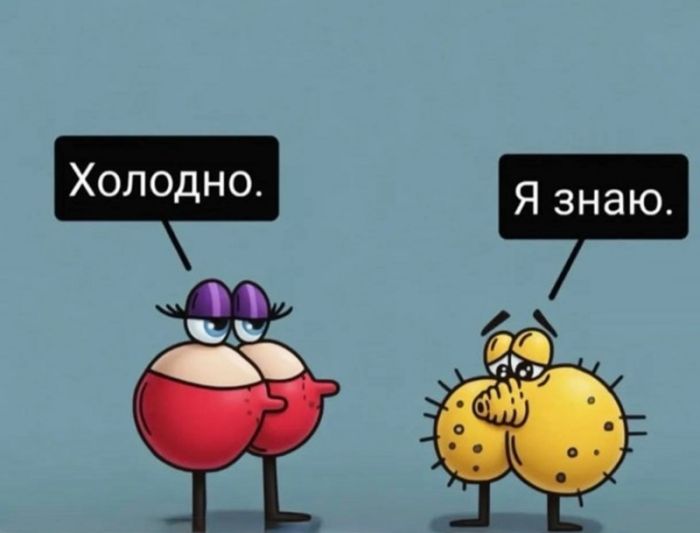 картинка 18fc812196 chernyj jumor dlja nastojaschih cenitelej podborka kotoraja zastavit vas smejatsja do slez 40