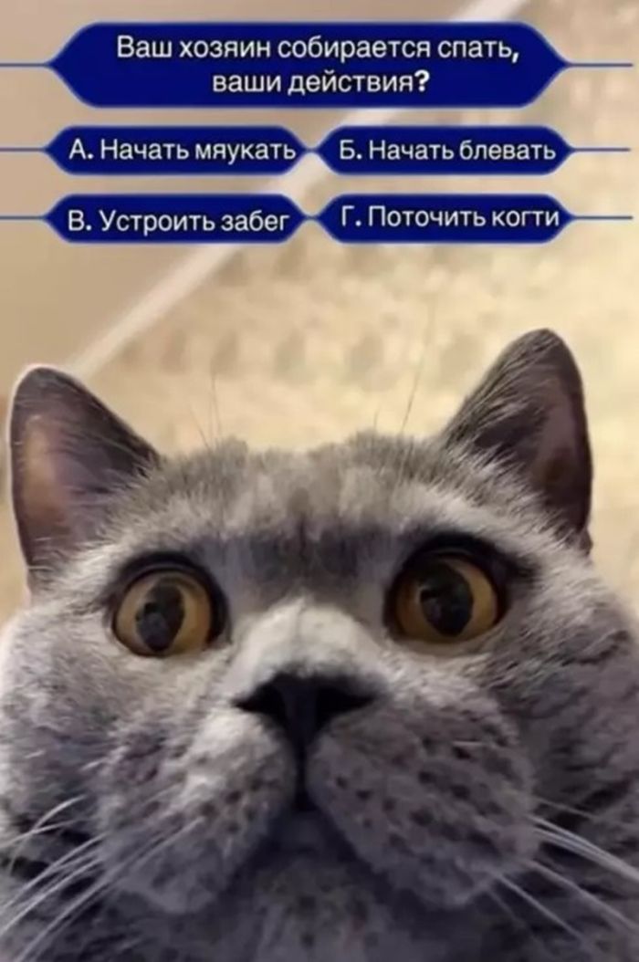 картинка 1af99035d2 chernyj jumor dlja nastojaschih cenitelej podborka kotoraja zastavit vas smejatsja do slez 11