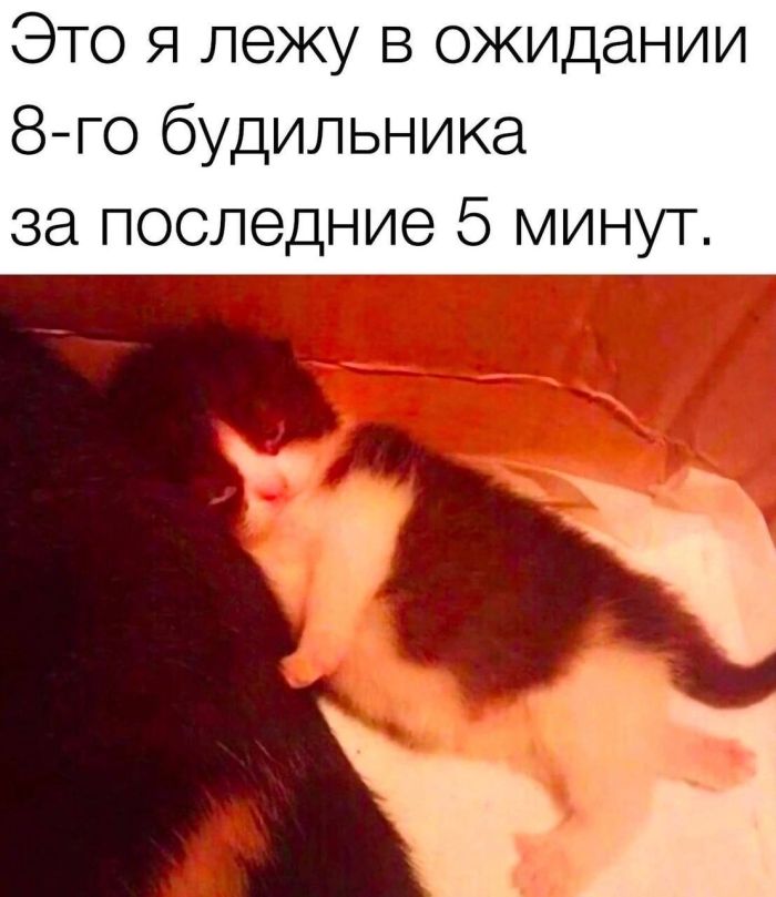 картинка 1e3b275c7d 000000000000000000000