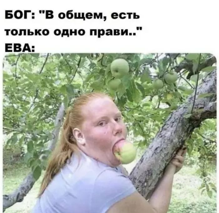 картинка 240708282e 20920762