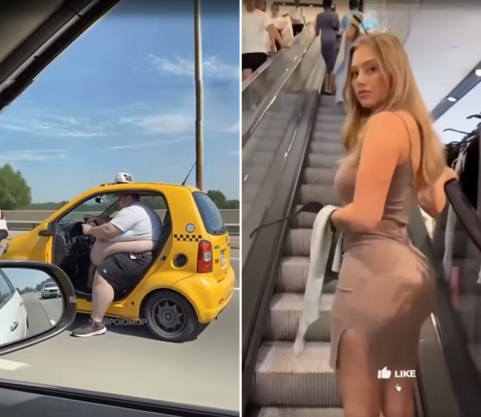 Видео смешные для настроения