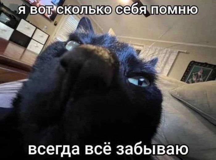 картинка 2675d15edd vnimanie jumor ne dlja vseh 3