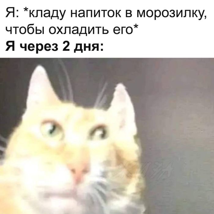 Интернет смеется – и ты смейся вместе с нами! Интернет смеется – и ты смейся вместе с нами! самые, Добро, способный, иногда, легкой, перчинкой, всегда, искренний, поднять, живой, настроение, Погрузись, атмосферу, интернетсмеха, получи, порцию, позитиваПредыдущая, настоящий, хитами, пожаловать