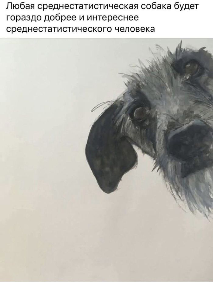 картинка 2b5b96476f vnimanie vzroslye gotovtes k doze chernogo jumora kotoryj ne ostavit ravnodushnym nikogo 41