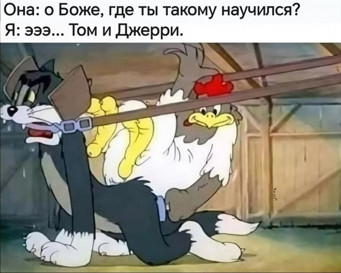 Маленькая пятница: Ваш заряд позитива посреди недели!