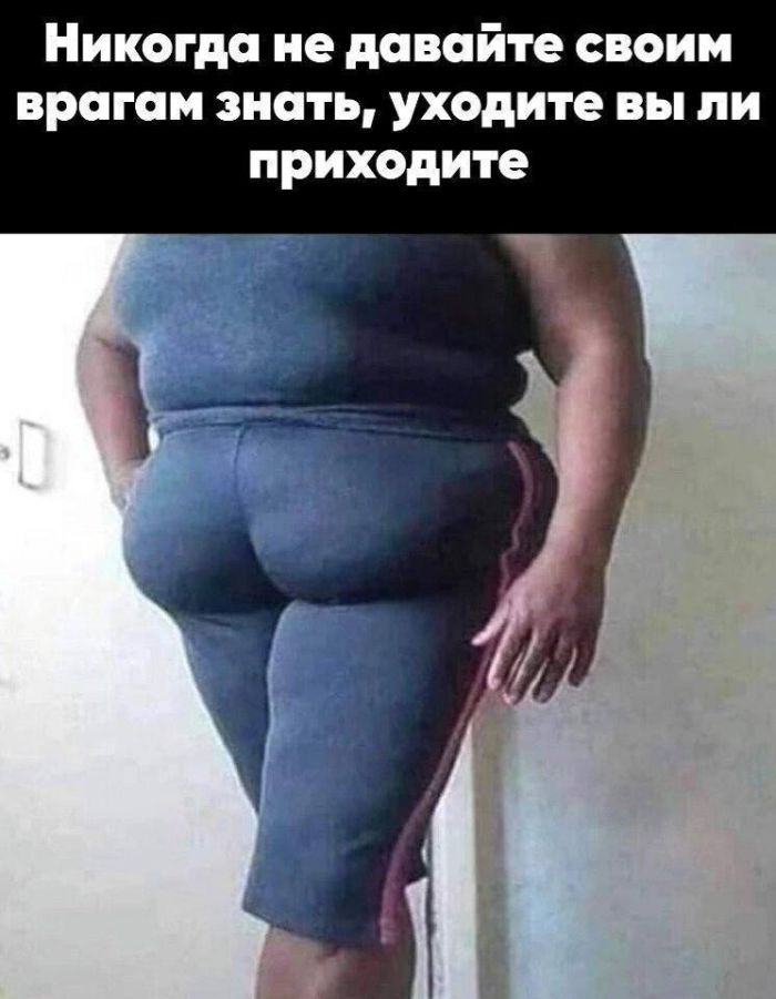 Пятница, ты ли это? 🎉 Самый ожидаемый день недели встречает нас свежей порцией позитива! только, сделать, который, сборник, чтобы, пятницу, смеяться, выходные, идеально, нужно, жизни, моменты, красивые, просто, пейзажи, вдохновляющие, животные, милые, Улыбки, уверены