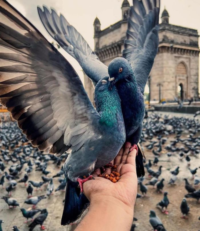 картинка 2eaa8f9211 vnimanie objavlena malenkaja pjatnica 2