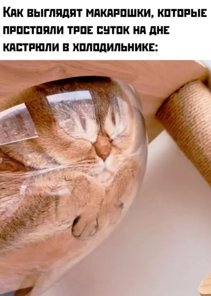 картинка 2ff9c62932 vzroslyj jumor poshlye shutki svezhie memy da 14