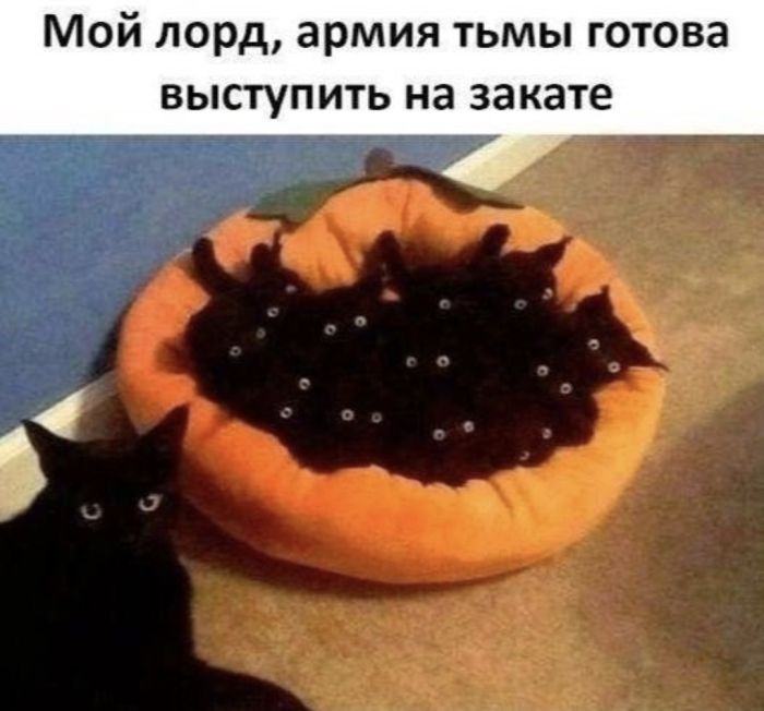 картинка 33d8f567aa malenkaja pjatnica uzhe zdes podnimaem nastroenie v seredine nedeli 11