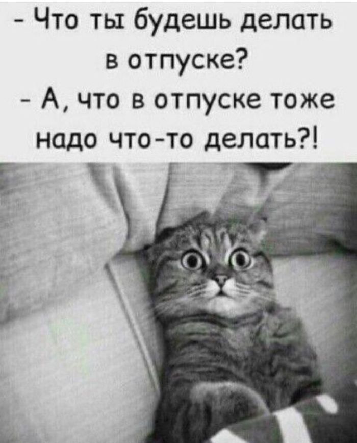 картинка 3a9b484d11 chernyj jumor dlja izbrannyh podborka shutok ne dlja slabonervnyh 11