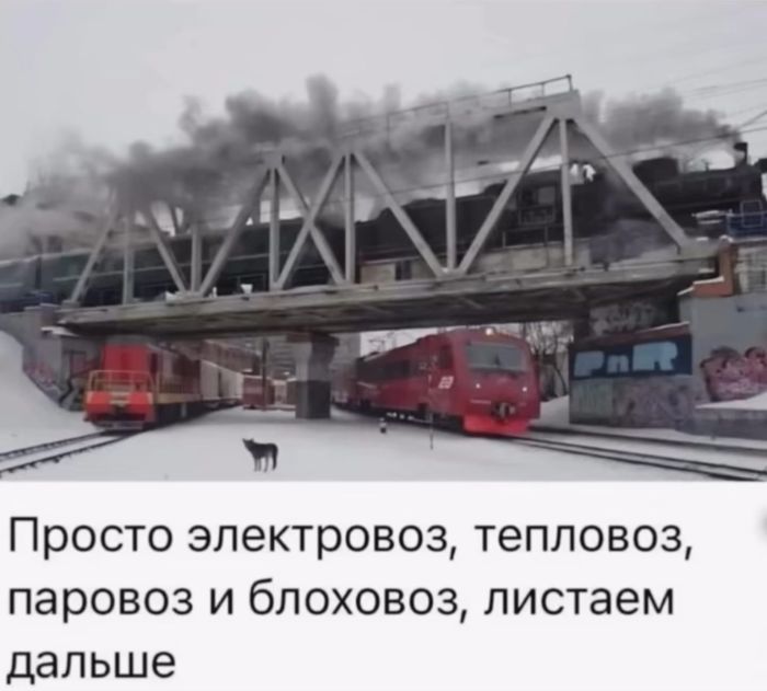 Хотите порцию отличного настроения? Вам сюда! прочесали, который, благодарноПредыдущая, очень, будет, настроение, пропустите, духНе, поднимет, точно, проверенный, просторы, Только, сетей, социальных, комментарии, смешные, самые, найти, чтобы