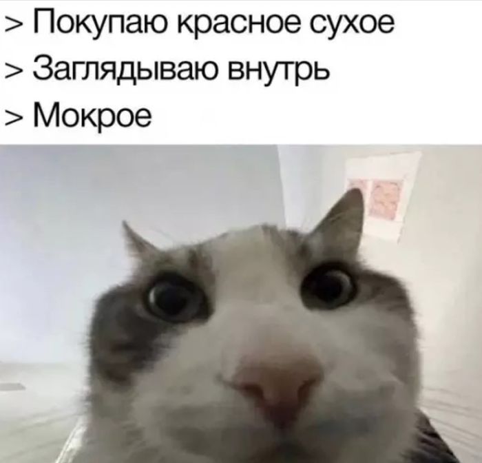 картинка 3edbf68c42 ulybnites shire podborka pozitiva kotoraja tochno podnimet nastroenie 13