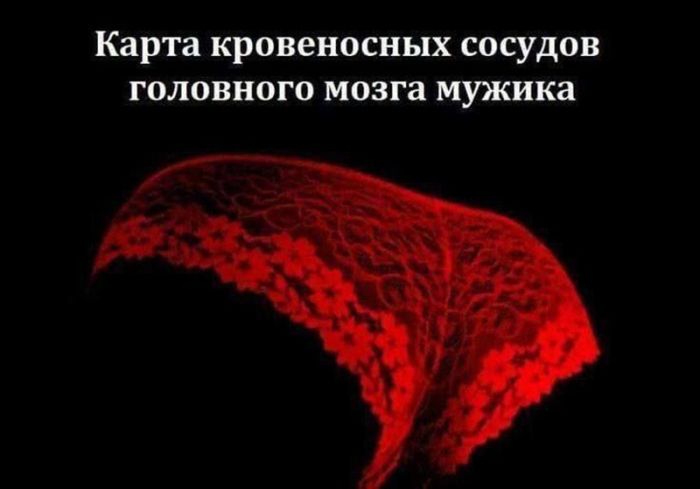 картинка 3f8a4870f7 chernyj jumor poshlye shutki tolko dlja vzroslyh 3