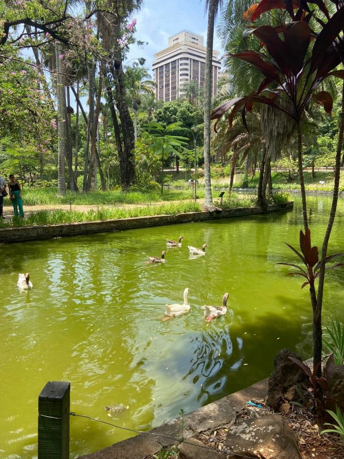 картинка 412ec0a35c malenkaja pjatnica uzhe zdes podnimaem nastroenie v seredine nedeli 1