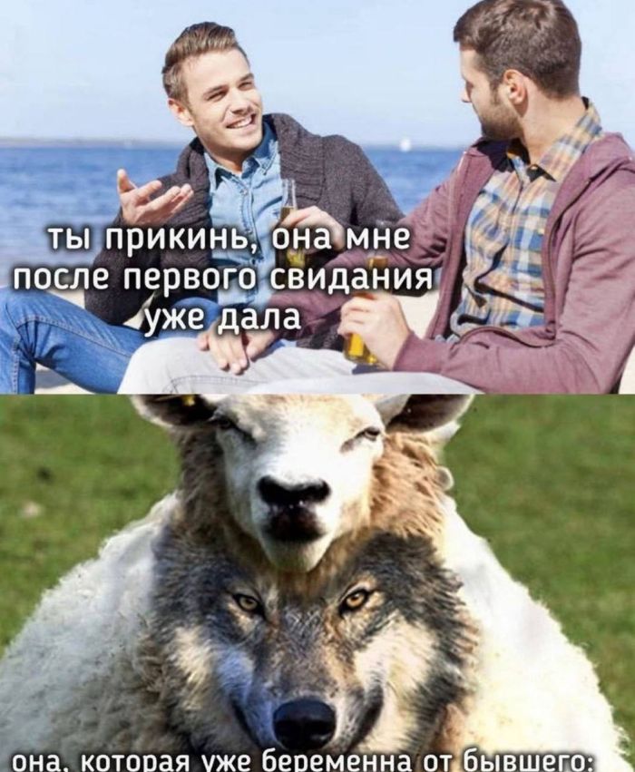 картинка 41d19f3bd0 00000