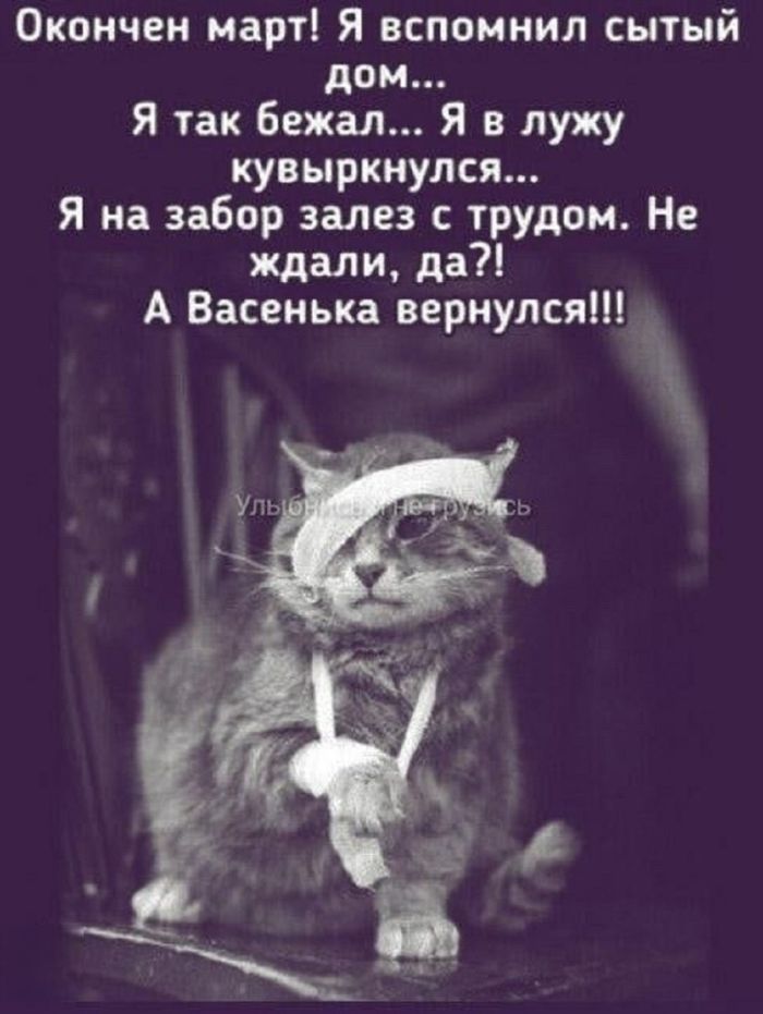 картинка 46529dfa5e chernyj jumor poshlye shutki tolko dlja vzroslyh 12