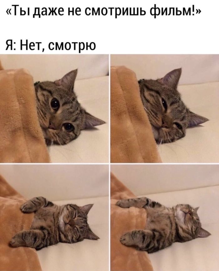 картинка 4dd9c19165 malenkaja pjatnica uzhe zdes podnimaem nastroenie v seredine nedeli 0