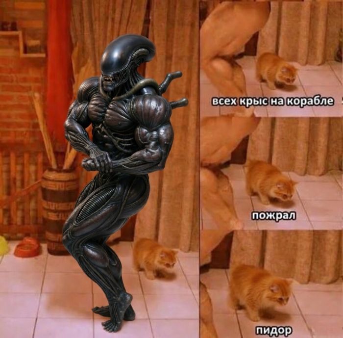 картинка 4fb7129fab ura pjatnica zarjazhaemsja pozitivom pered vyhodnymi 00