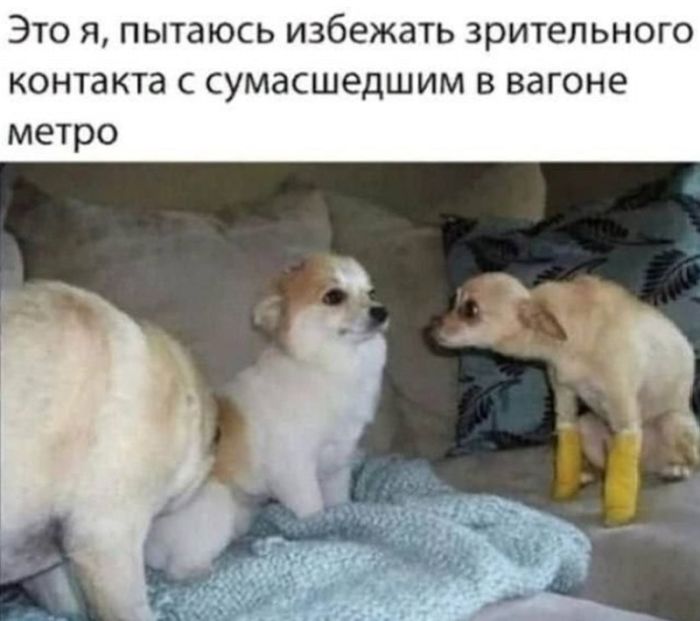 картинка 50dc9fac14 otbornyj chernyj jumor tolko dlja cenitelej 34